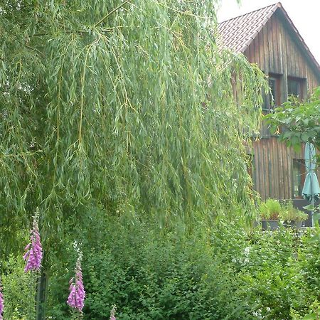 Ferienwohnung Lotti Бротероде Стая снимка