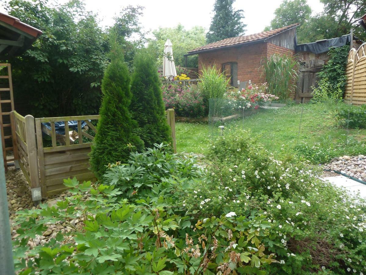 Ferienwohnung Lotti Бротероде Екстериор снимка